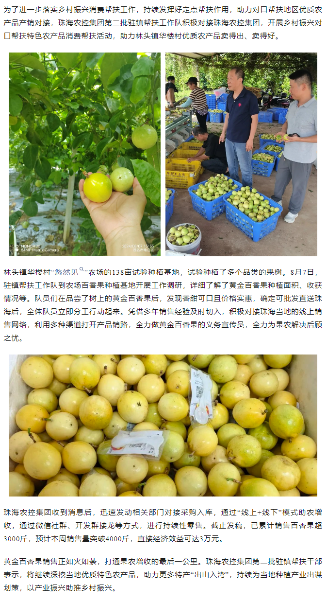 乐鱼官网网页版-乐鱼（中国）官方
集团助力产销对接 对口帮扶果香飘百里.png